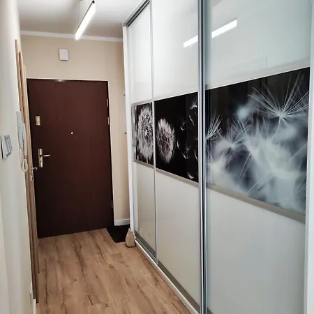 Apartment White Lily Krynica Zdroj